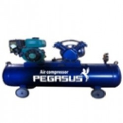 Máy nén khí đầu nổ chạy xăng Pegasus TM-V-0.25/8-100L